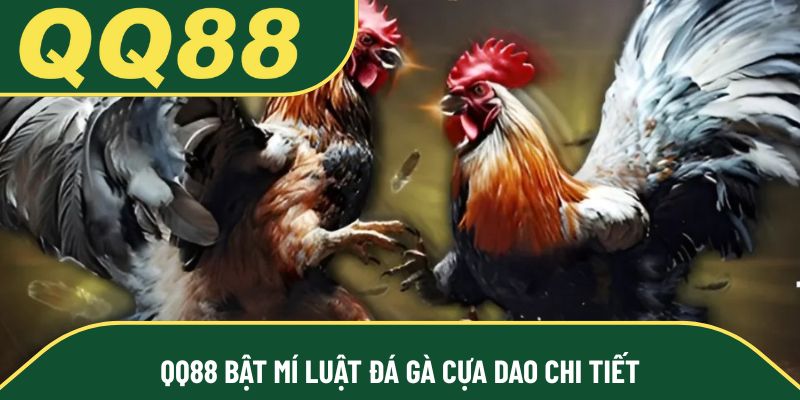 QQ88 bật mí luật đá gà cựa dao chi tiết